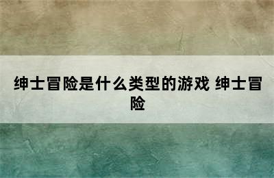 绅士冒险是什么类型的游戏 绅士冒险